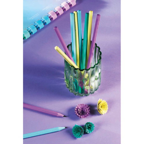 Matita con fusto a fiore rainbow pastel - immagine 4
